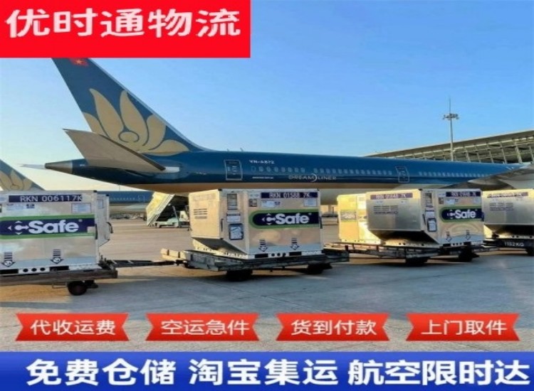 大城到北京物流专线-大城到北京空运公司